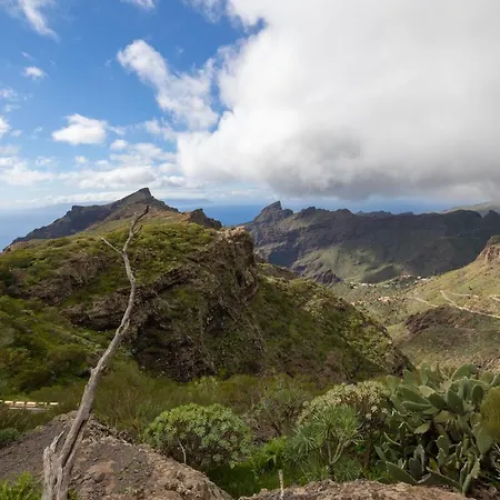 Oceano Infinito Aloha Garden